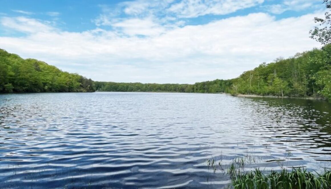 Merli Sarnaoski Park Lake