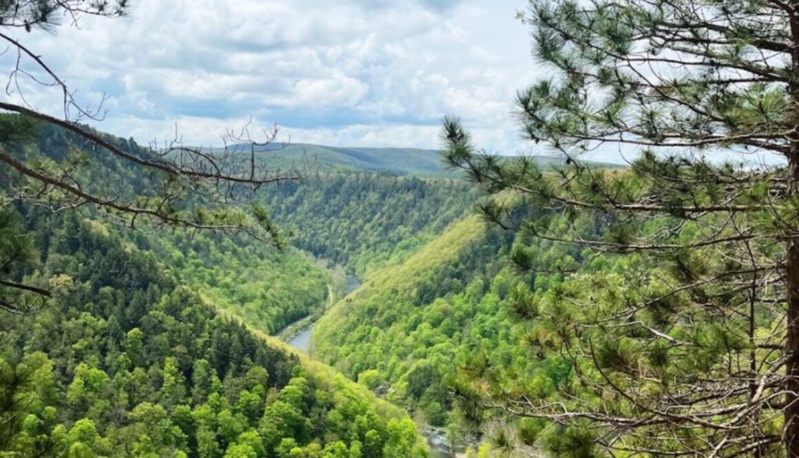 Pennsylvania Grand Canyon Overlook