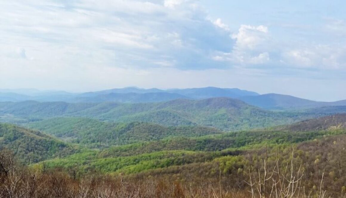 Shenandoah National Park Overlook