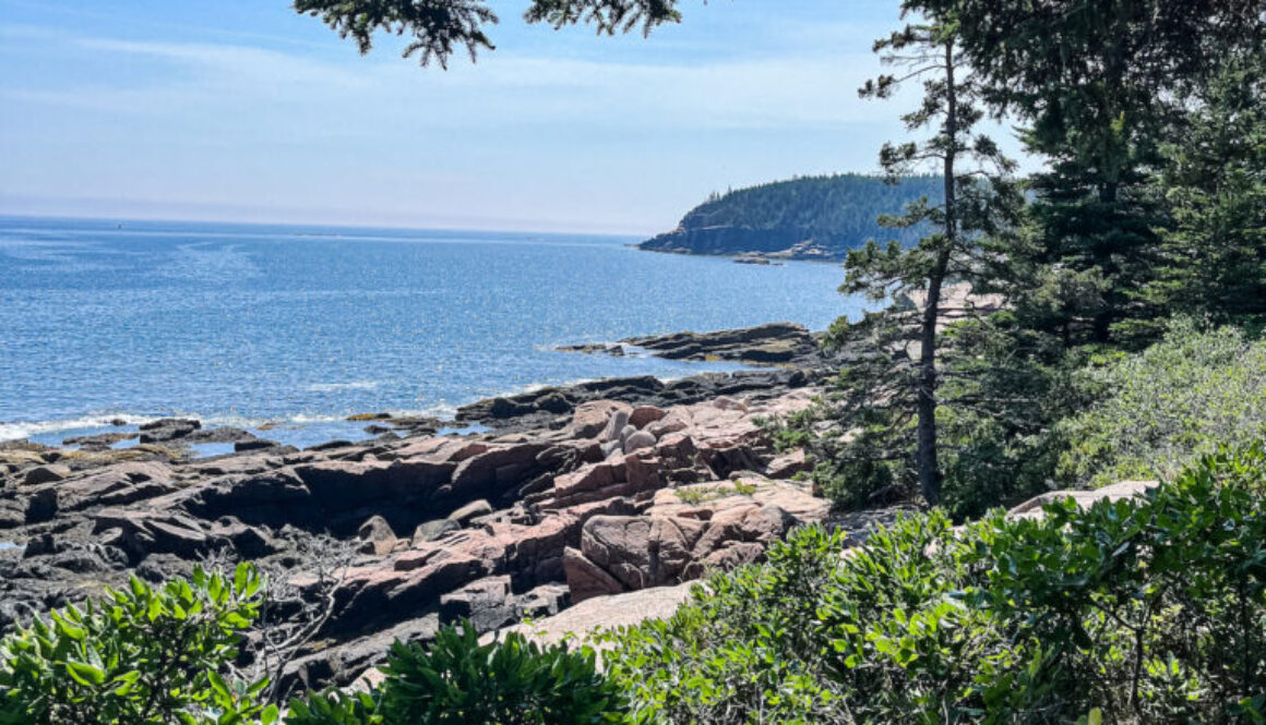 Acadia Coastline