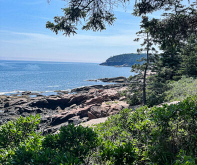 Acadia Coastline