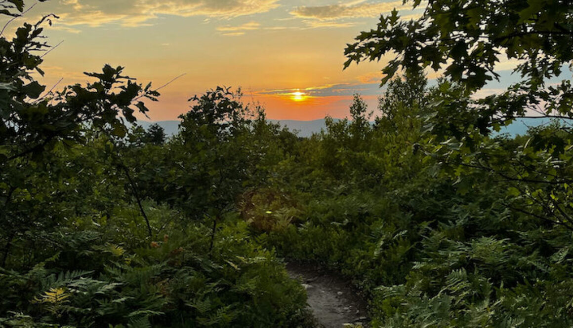 Dick and Nancy Eales Preserve Sunset