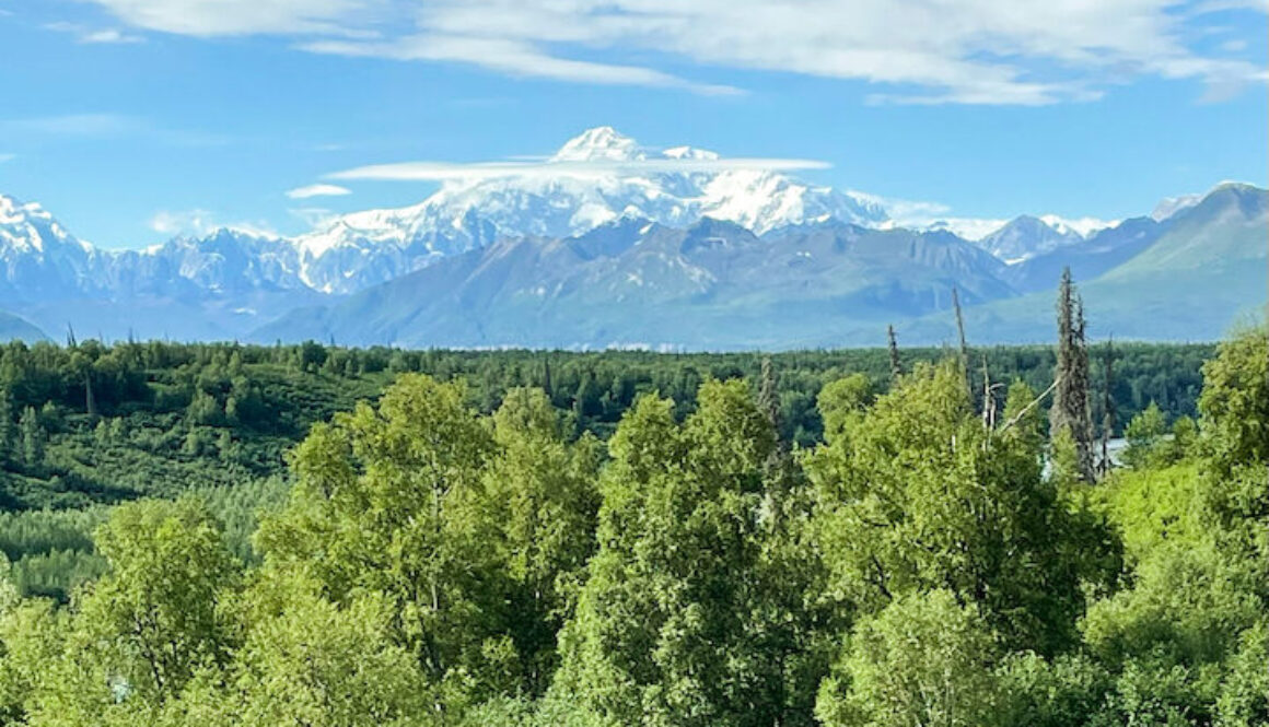 Mount Denali View