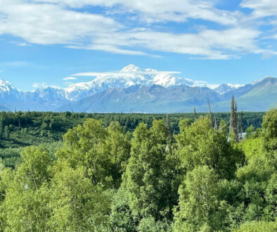 Mount Denali View