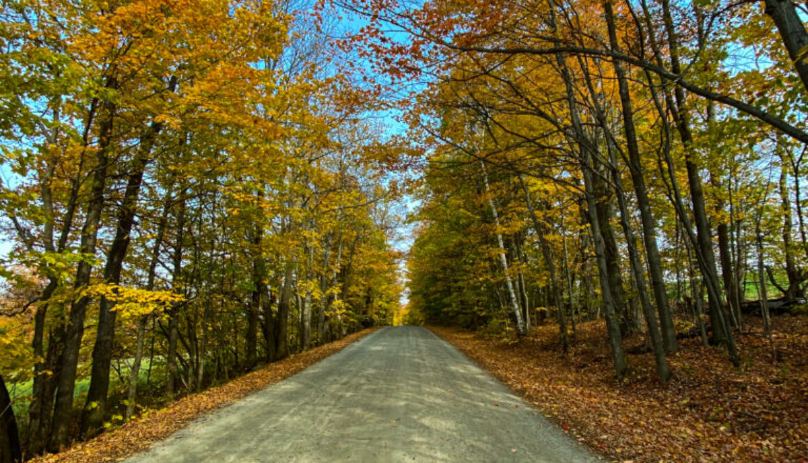 Vermont Road