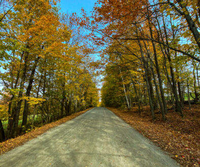 Vermont Road